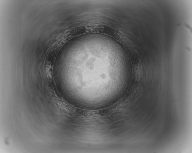 X0000101160770200807071157