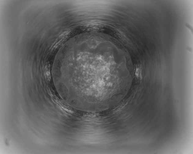 X0000101160771200807071157