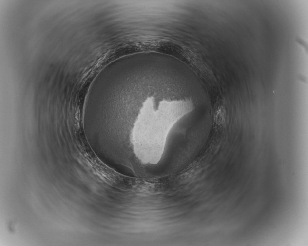 X0000101160772200807071157