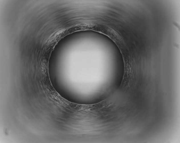 X0000101160773200807071157