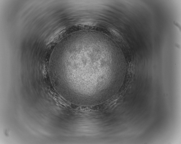 X0000101160774200807071157