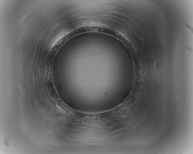 X0000101160775200807071157