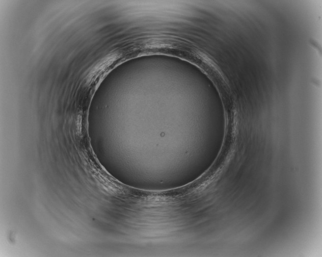 X0000101160777200807071157