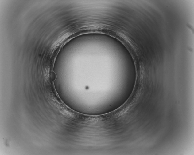 X0000101160778200807071157