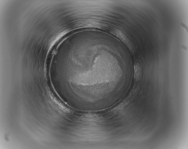 X0000101160780200807071157