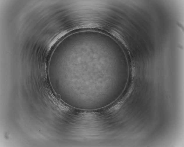 X0000101160781200807071157