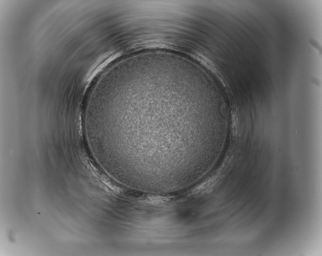 X0000101160782200807071157