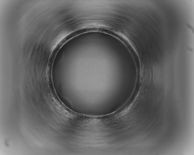 X0000101160783200807071157