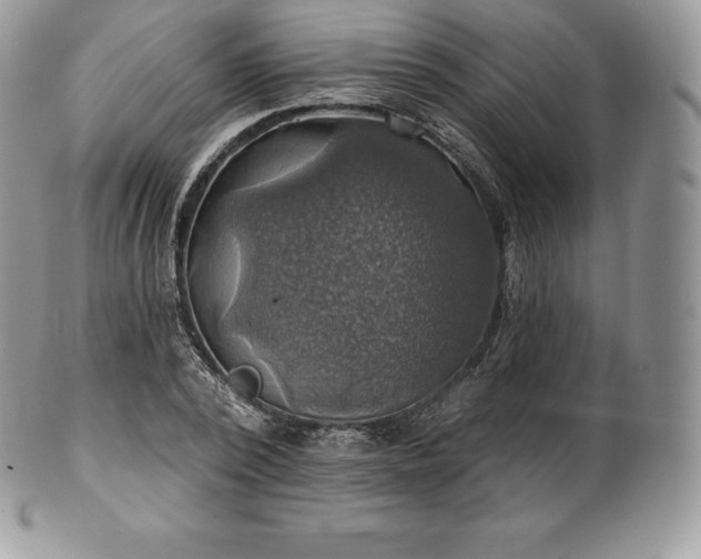 X0000101160784200807071157