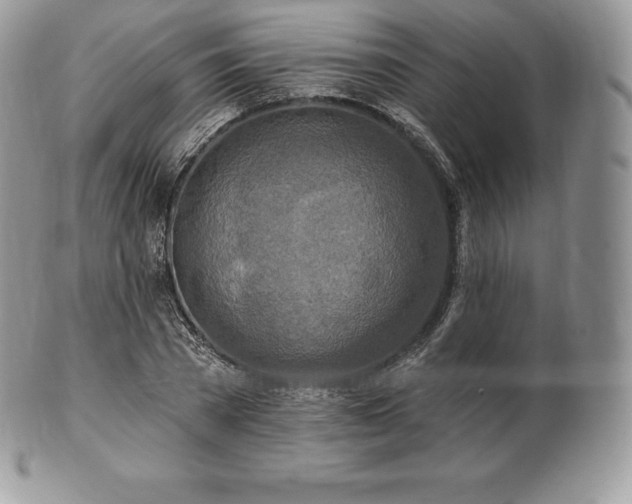 X0000101160785200807071157