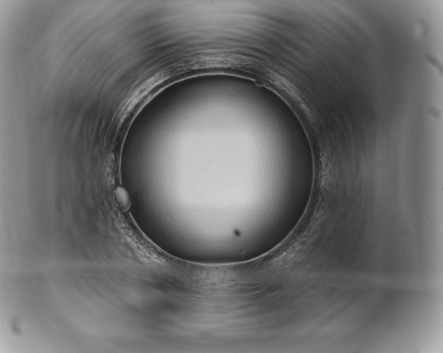 X0000101160786200807071157