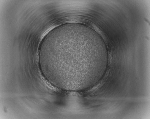 X0000101160787200807071157