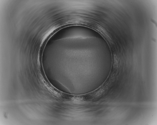 X0000101160788200807071157