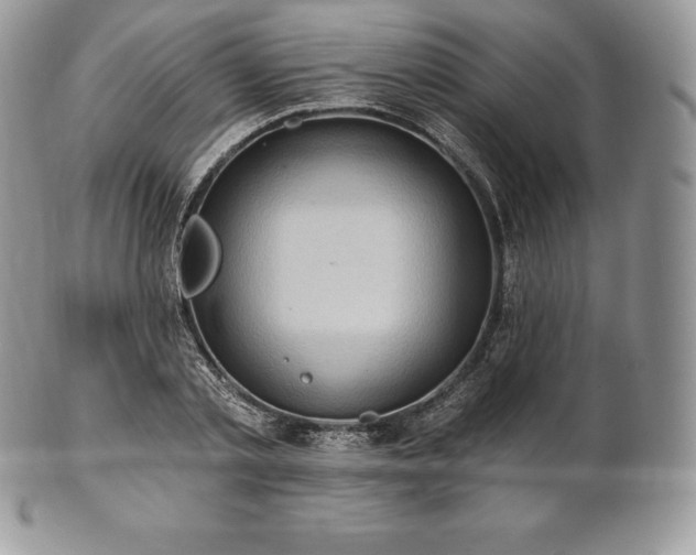 X0000101160789200807071157