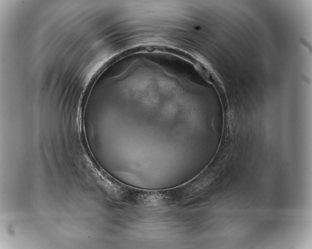 X0000101160791200807071157