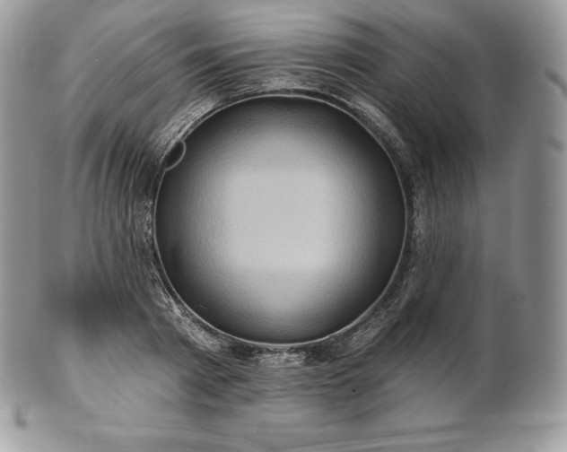 X0000101160793200807071157