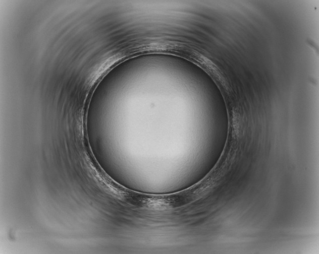 X0000101160794200807071157