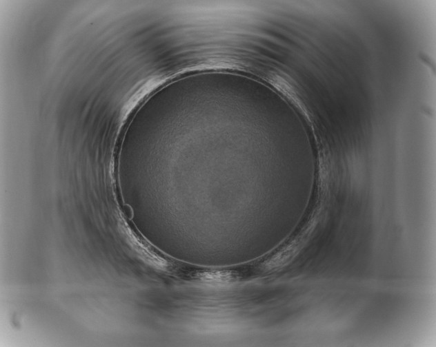 X0000101160797200807071156