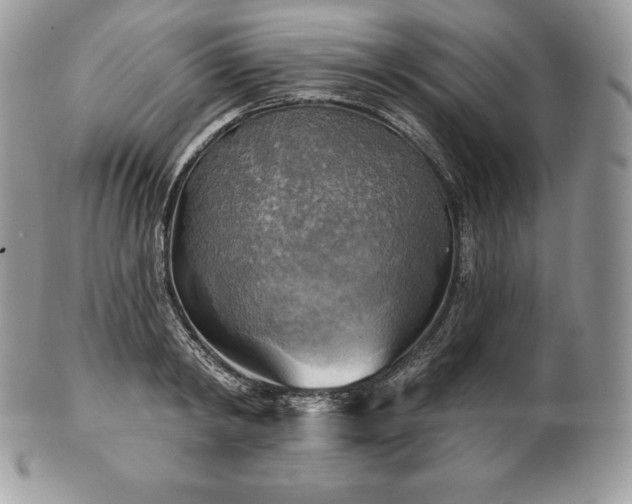 X0000101160798200807071156