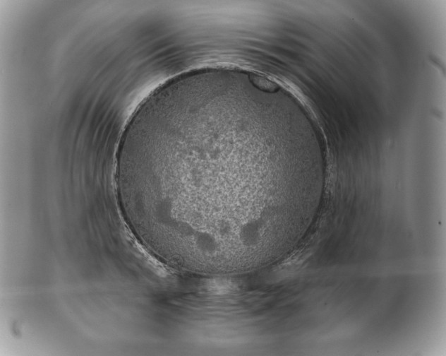 X0000101160799200807071156