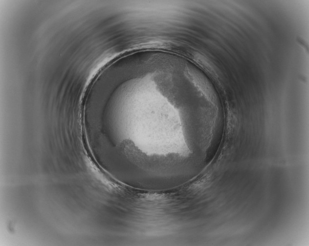 X0000101160800200807071156