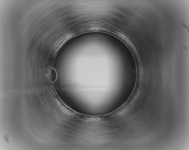 X0000101160801200807071156