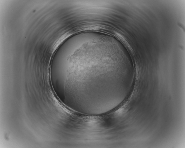 X0000101160802200807071156