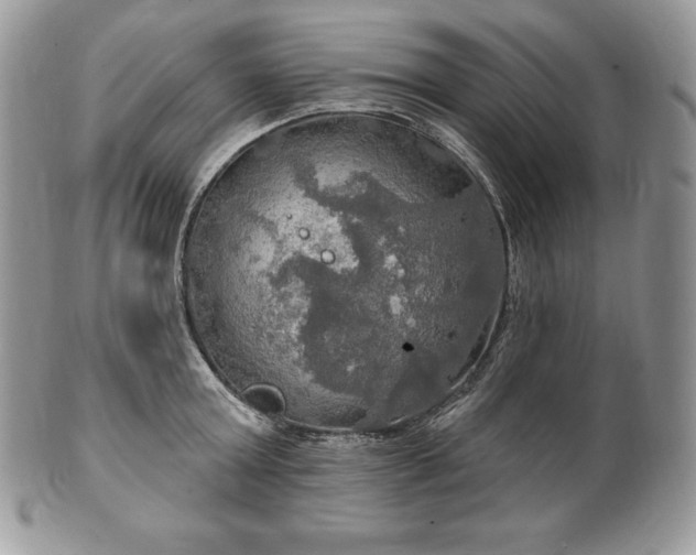 X0000101160803200807071156