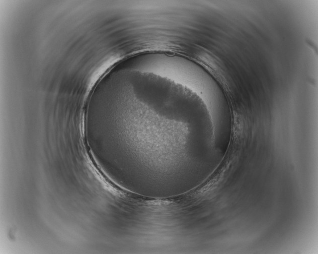 X0000101160804200807071156