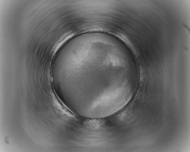 X0000101160806200807071156