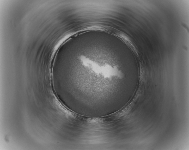 X0000101160808200807071156