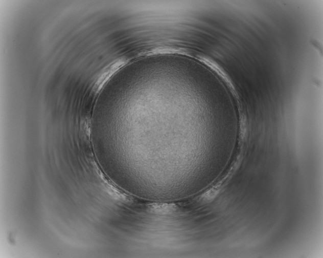 X0000101160809200807071156