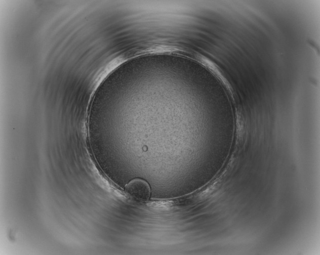 X0000101160810200807071156