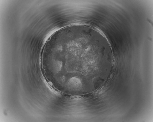 X0000101160811200807071156