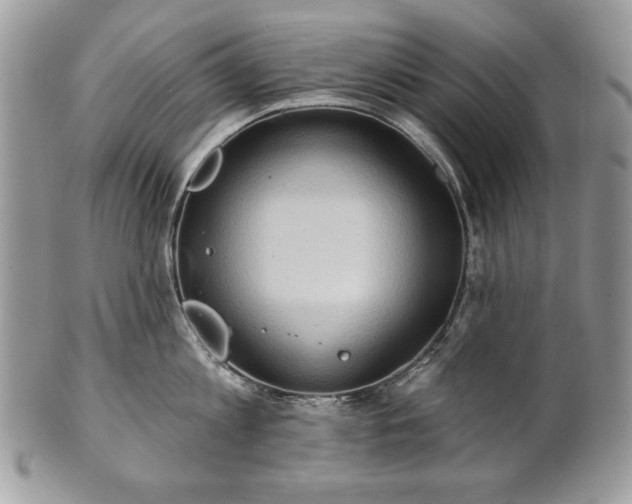 X0000101160813200807071156