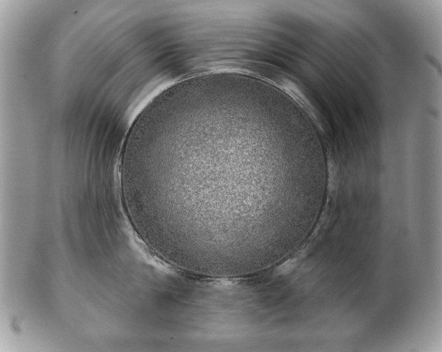 X0000101160814200807071156