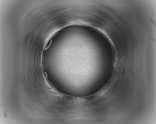 X0000101160815200807071156