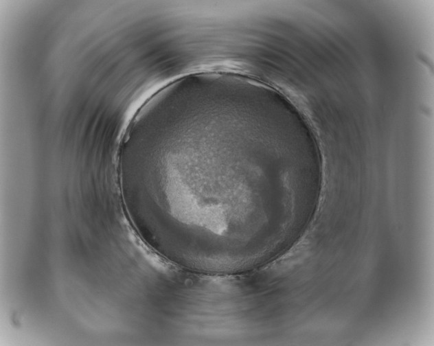 X0000101160816200807071156