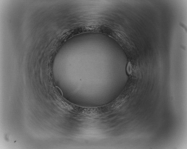 X0000101160817200807071156