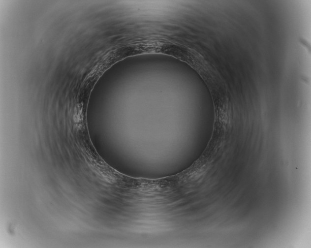 X0000101160818200807071156