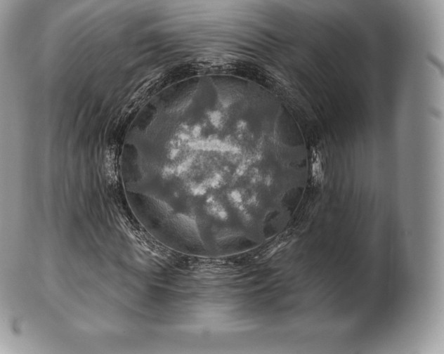 X0000101160819200807071156