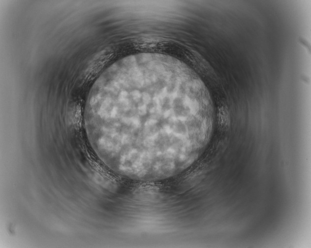 X0000101160820200807071156