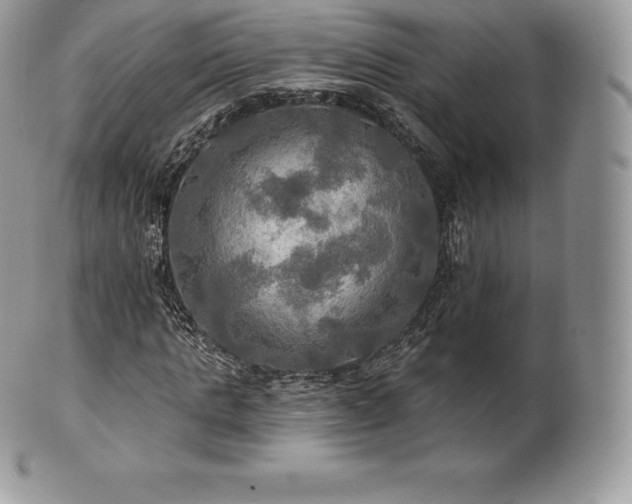 X0000101160821200807071156