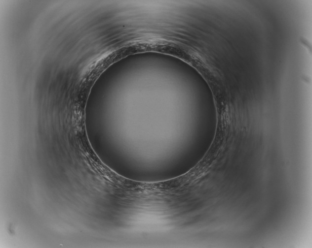 X0000101160822200807071156