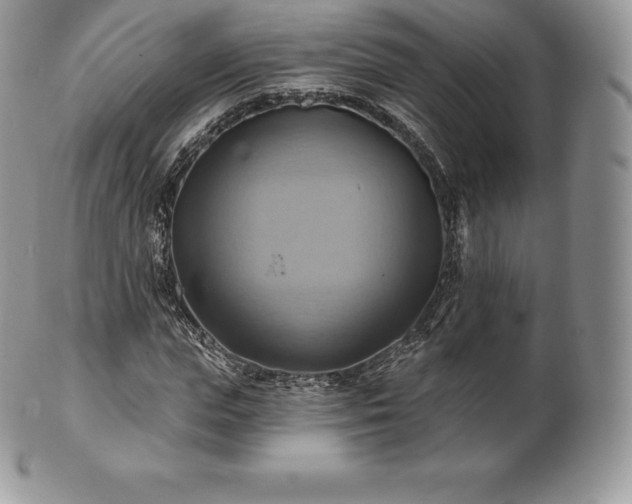 X0000101160823200807071156