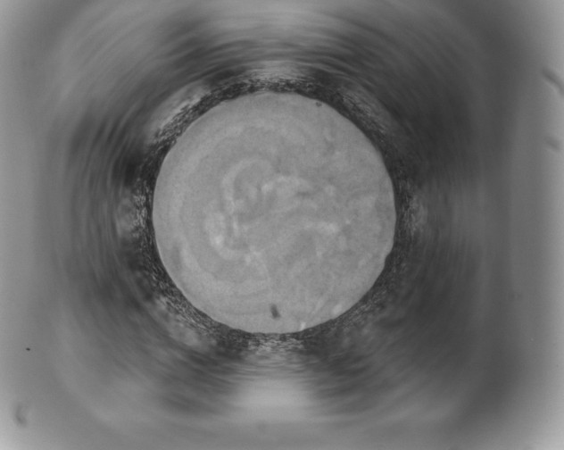 X0000101160824200807071156