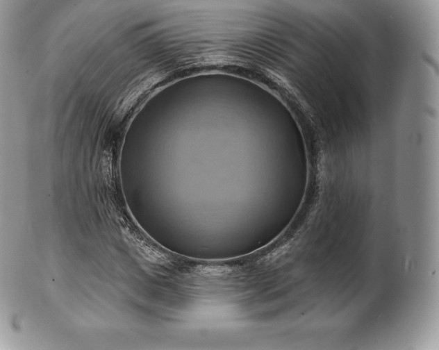 X0000101160825200807071156