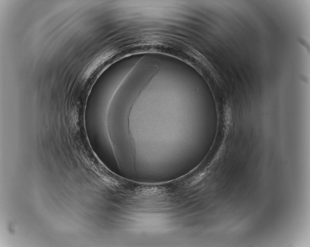 X0000101160826200807071156