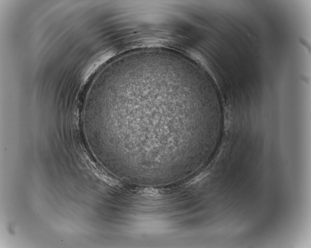 X0000101160827200807071156