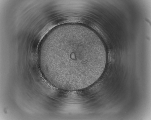 X0000101160828200807071156